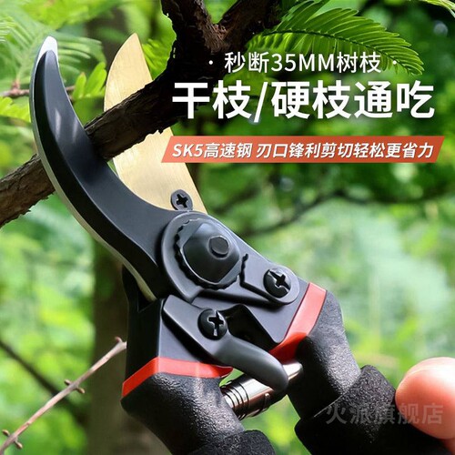 德国品质艺园剪刀修枝剪树枝专用剪刀园林园艺果树家用修花sk5剪