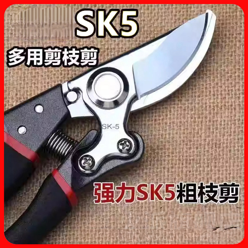 德国精工剪树枝专用剪刀园艺果树修枝剪sk5粗枝修花省力剪子园林