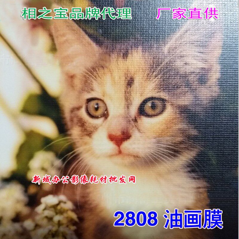 A3相之宝冷裱膜2808油画膜 影像图文广告膜笔记本贴膜 相片保护膜