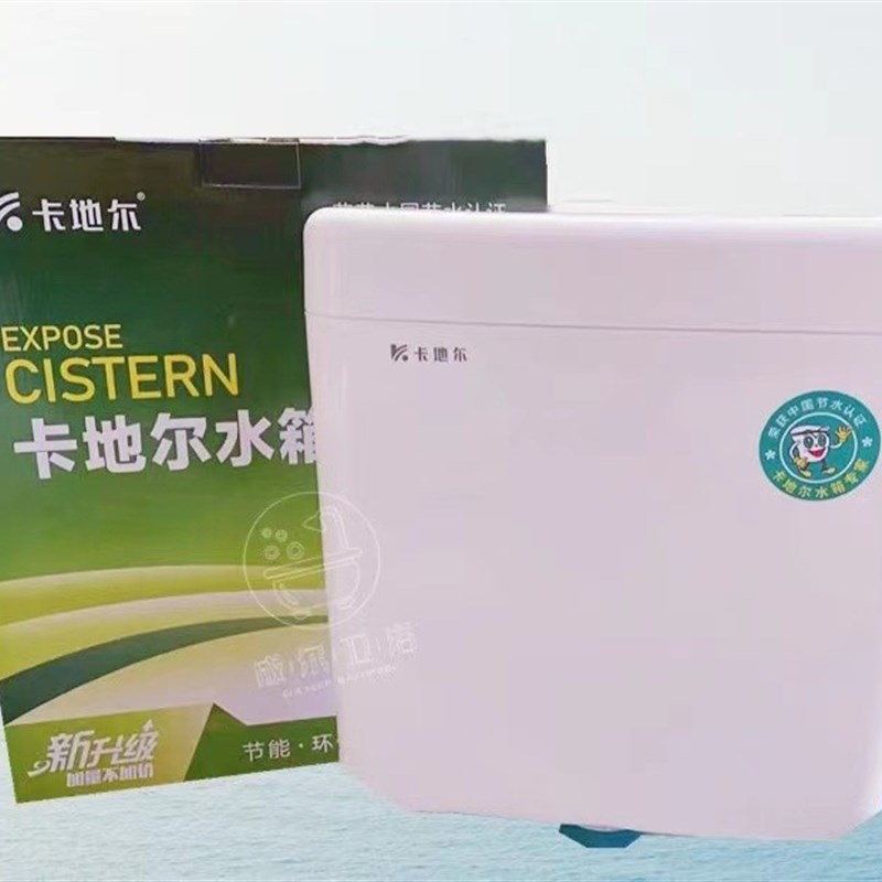 卡地尔厕所蹲便器卫生间蹲便节能静音冲水箱挂墙006B双按