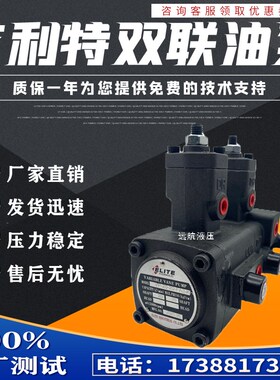 台湾ELITE艾利特双联叶片泵VP-15-15 20-20 30-30 40-40-FA3 花键