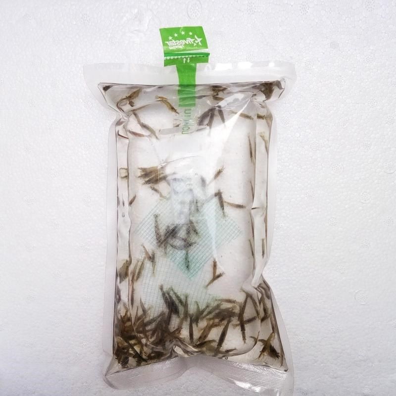 喂乌龟的小虾苗新鲜活的龟食小虾米活虾龟粮宠物虾自家繁殖除藻虾,橡塑材料及制品,塑料盒/塑料箱/塑料柜,淘宝优惠券,粉丝福利购,淘宝优惠卷