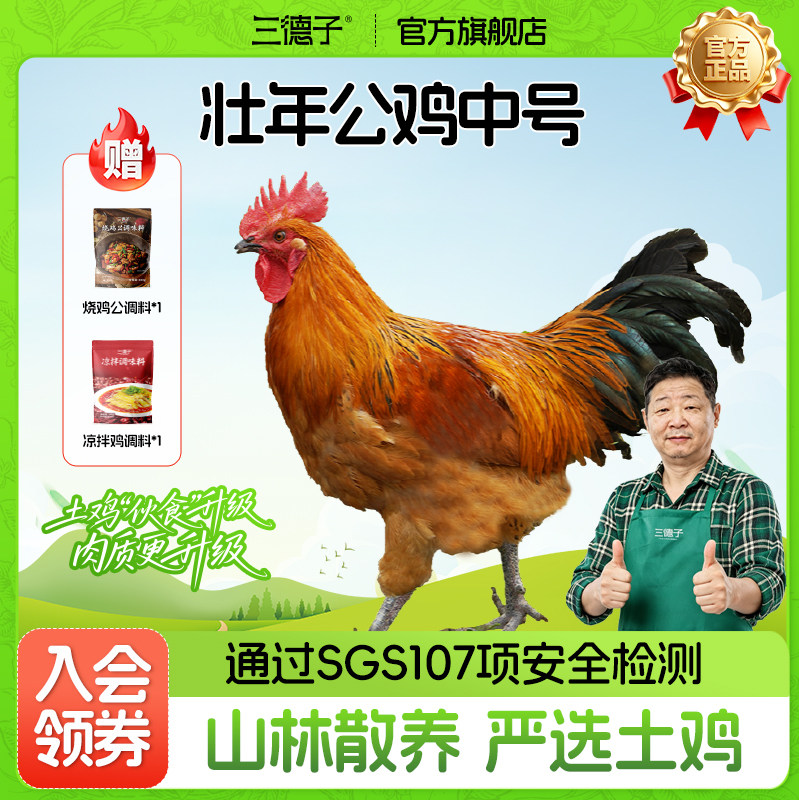三德子好甄选 中号壮年大公鸡净重4.5-5.5斤农家散养土鸡新鲜鸡肉