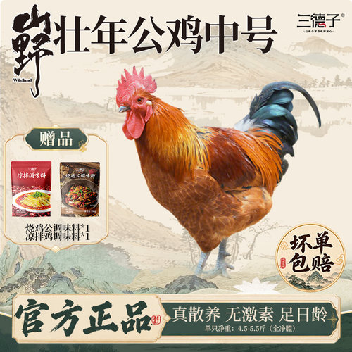 三德子好甄选 中号壮年大公鸡净重4.5-5.5斤农家散养土鸡新鲜鸡肉