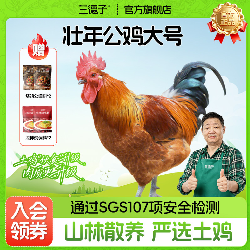 三德子好甄选 大号壮年大公鸡净重5.5-6.5斤农家散养土鸡新鲜鸡肉