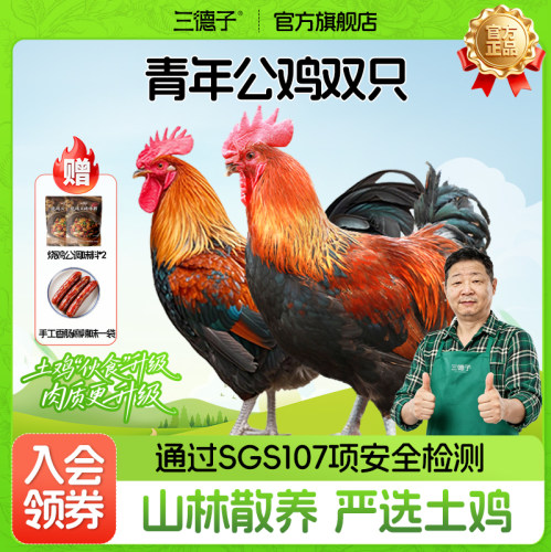 三德子好甄选 青年公鸡双只 散养生态鸡跑山鸡新鲜宰杀