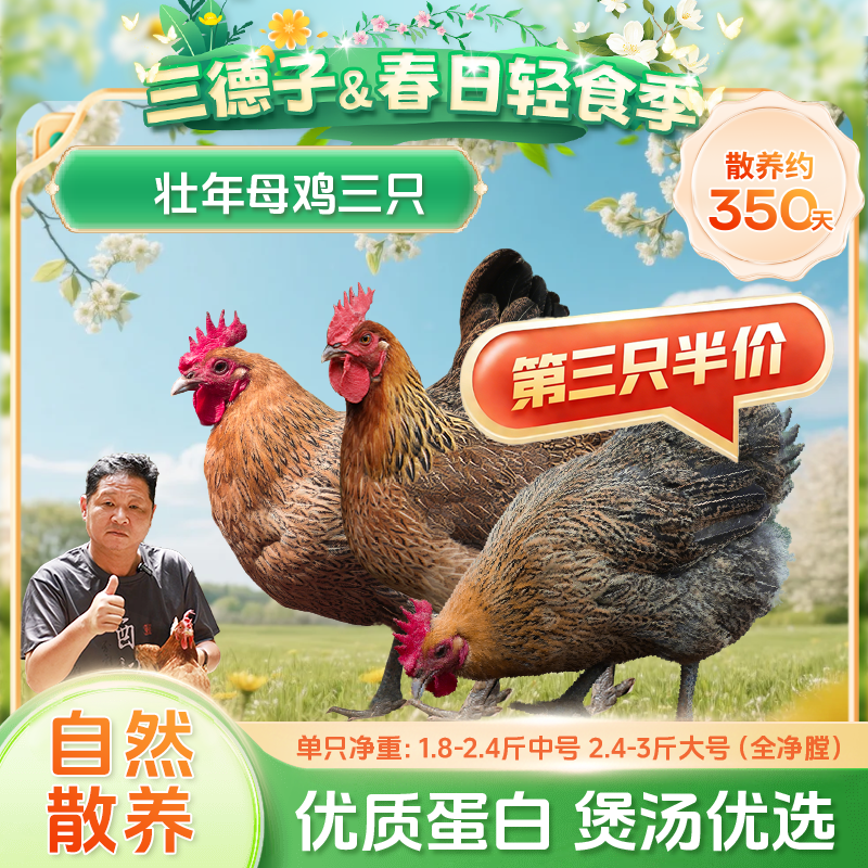 三德子好甄选【散养母鸡三只】家庭炖汤食材生鲜孕妇月子鸡汤