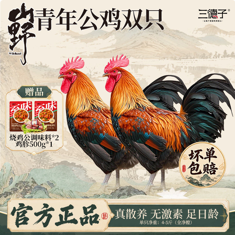 三德子散养青年公鸡全家都够吃