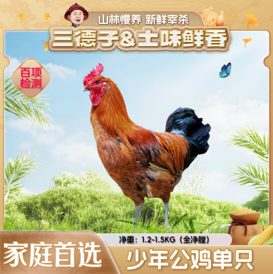 三德子甄选 雪山草鸡 单只小公鸡农家全粮散养正宗土鸡走地鸡生鲜
