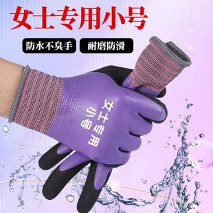 赶海专用手套女士小号防水劳保耐磨工作带胶干活杀鱼防刺防滑工地