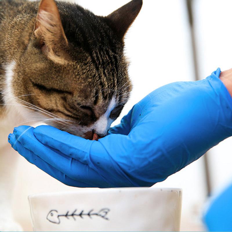【品牌正品】一次性丁腈手套乳胶橡胶家务食品级餐饮厨房防水加厚