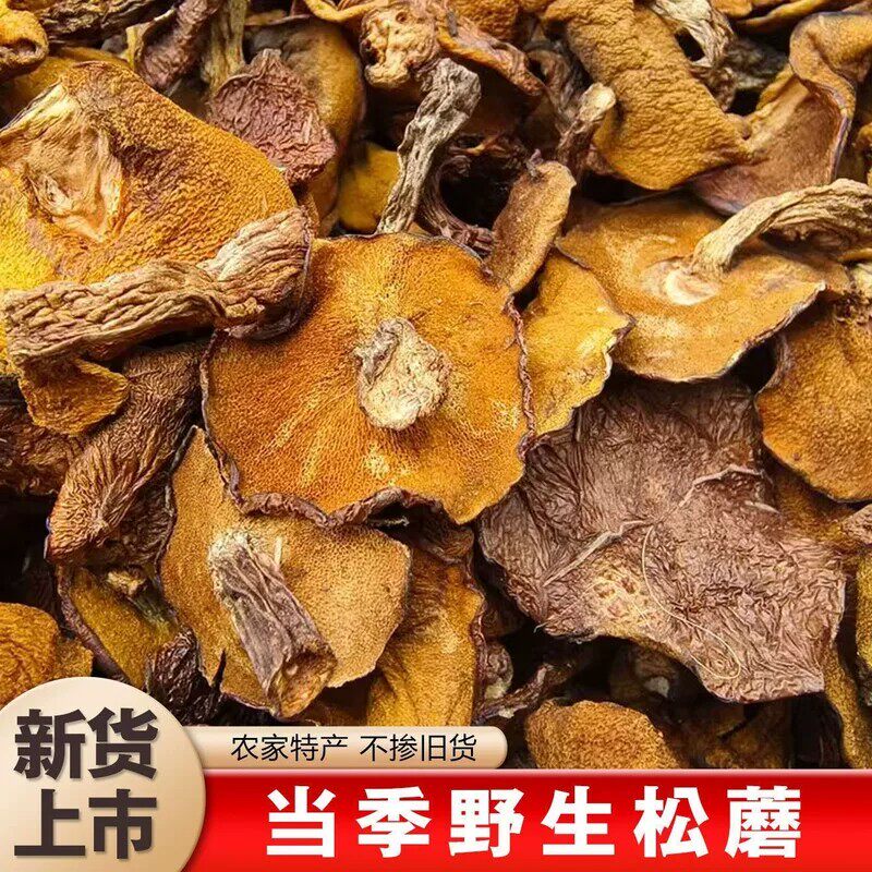东北特产天然松蘑东北野生蘑菇干货粘团子松蛾子黑蘑菇特级黄松蘑