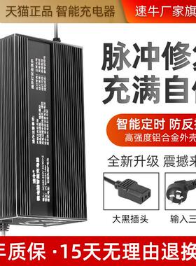 电动三四轮车60v15a充电器铅酸免维护天能电池电动汽车48V72V10A