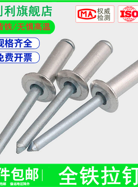全铁抽芯铆钉铁铆钉高强度钢拉钉M3.2M4M5*6x8x13x16-30铁拉铆钉
