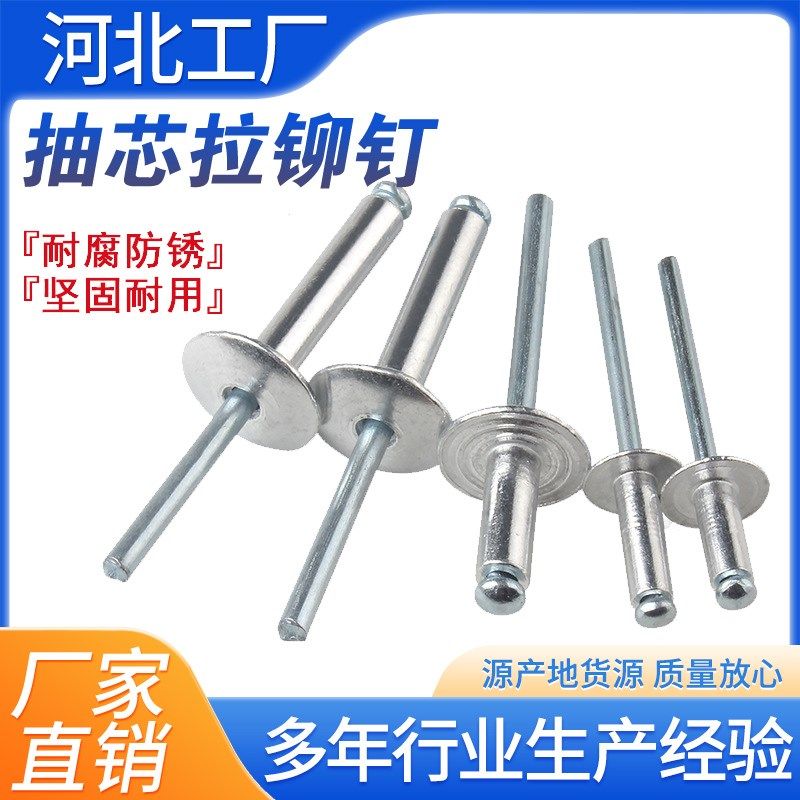 抽芯铆钉散装国标拉钉门窗拉抽铝铆钉开口型圆头铝合金门窗拉固钉,纺织面料/辅料/配套,服装加工设备,淘宝优惠券,粉丝福利购,淘宝优惠卷