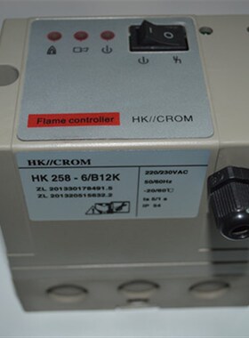 IES244-5/1W,IFS244-5/1W自动点火控制器IES244,IFS244