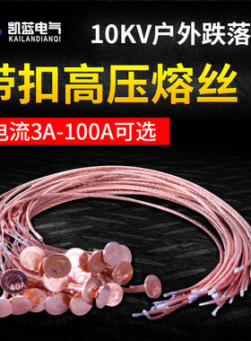 10KV带扣高压熔丝15 25 30A保险丝40 60 75 80 100A RW户外跌落式