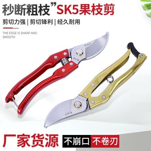 园林果枝剪树枝剪花枝果树剪sk5家用修剪工具园艺修枝剪刀