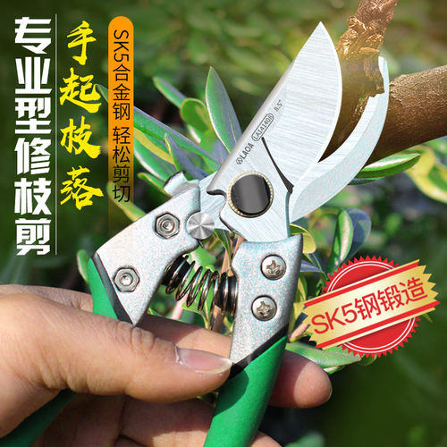 老A 园林绿化修枝剪果树剪枝剪刀花剪园艺剪刀家用省力剪子剪果树