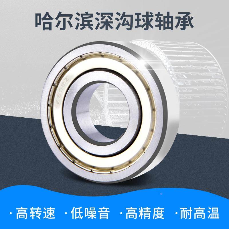 哈尔滨轴承6300 6301 6302 6303 6304 6305 6306 6307 6308RS ZZ