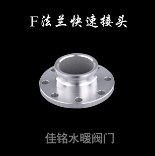 100125 法兰快速接头dn20 SUS304不锈钢F型快装
