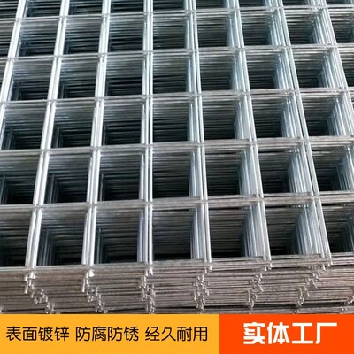 小网片金属帘防护装饰隔断钢筋狗笼网铁丝网网围栏镀锌加粗养殖孔