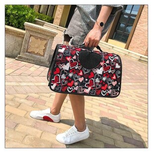 宠物包猫包泰迪狗包猫咪外出便携包手提包折叠包猫咪用品宠物外出