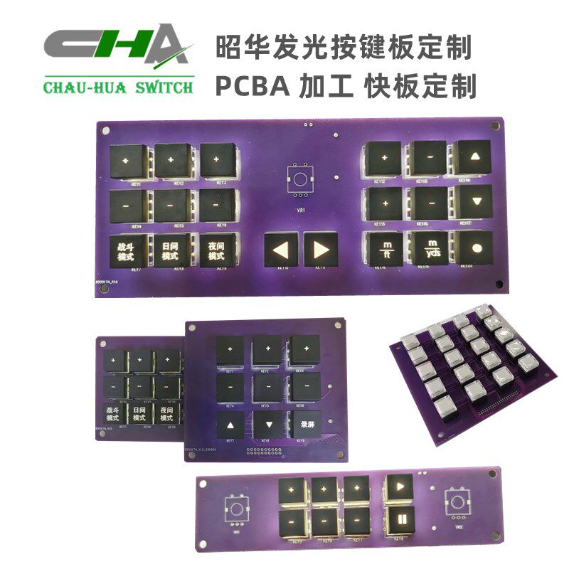 昭华 4X5矩阵键盘 直插20按键 单晶片外扩键盘R 带灯 开关按键板