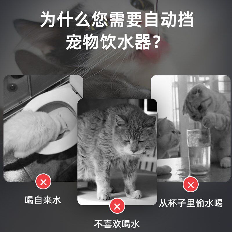 宠物饮水机猫咪喝水器 自动出水循环过滤流动活水 小型可放笼子内