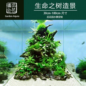 生命之树 沉木造景定制  沉木 草缸 造景沉木 草缸 后花园水族