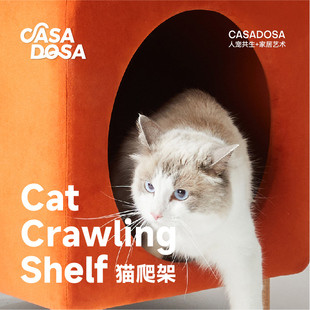 水瓶猫架猫爬架猫窝猫树一体猫咪猫爬架小户型立式 猫架不占地网红