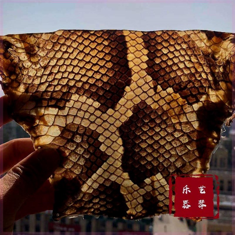 (厚皮送蒙皮胶j水)潮州二弦专用皮二胡皮蟒皮尾皮中胡蟒皮