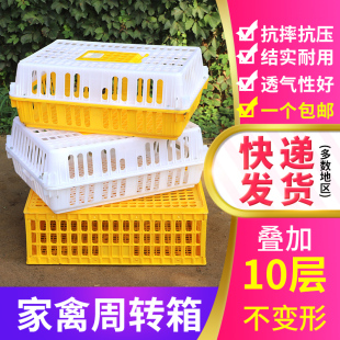 鸡笼运输笼塑料鸡笼周转箱塑料鸡鸭鹅鸽子笼鸡用运输筐鸡笼子