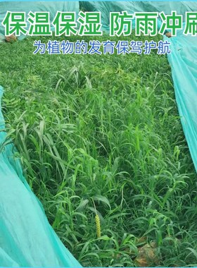 绿化无纺布绿色草坪保湿透气水稻育秧苗工地盖土护边坡草籽覆盖膜