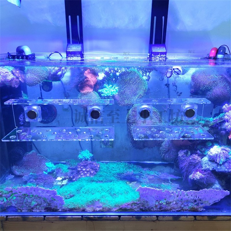 双层强磁珊瑚繁殖支架亚克力架托盘托架繁殖悬浮磁吸造景底座基座