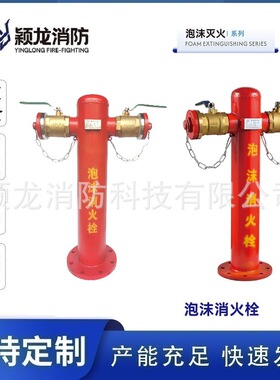颖龙厂家定制水/泡沫两用消火栓SSP150泡沫消火栓PS100泡沫消防栓