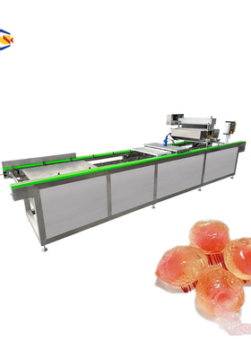 SE-0425J-DFM450淀粉膜软糖自动伺服式浇注生产线 糖果机