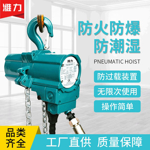 非标定制潍力气动葫芦固定式 煤矿用葫芦 运行式 气动葫芦起重机