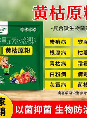 黄枯原粉农用新型杀菌剂叶面肥防枯萎防立枯防炭疽微生物菌剂肥料