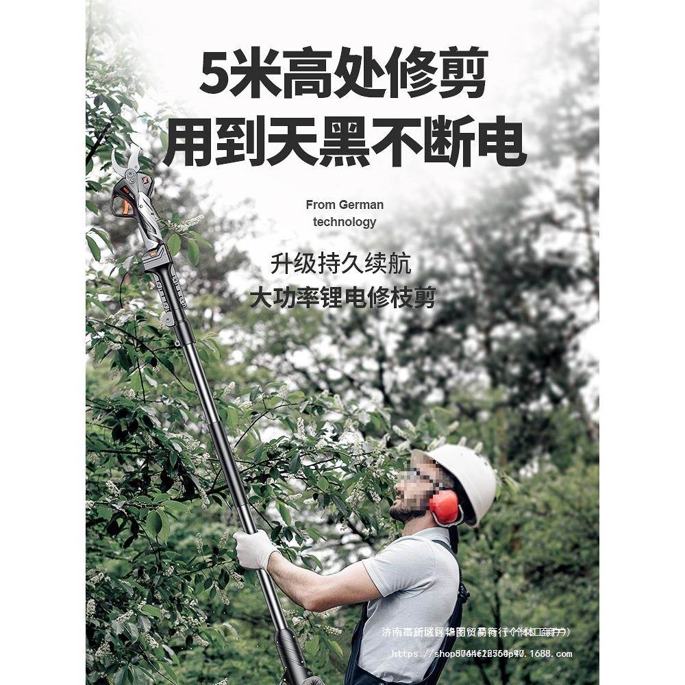 德国电动修枝剪刀剪果树充电进口锂电剪AHQ树工枝电剪式子品牌园