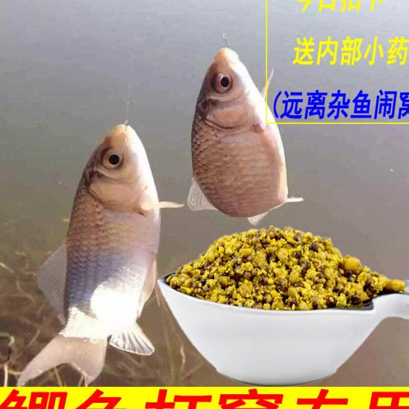 鲫鱼窝料野钓打窝酒米谷物玉米麦粒配方自制钓鱼饵料鱼食打底窝料