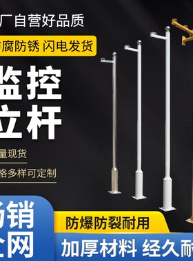 小区监控立杆1/2.5/3/3.5/4/4.5/5/6米不锈钢杆子摄像机立柱/支架
