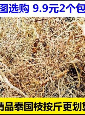 泰国枝 沉木 水草 巴西莫斯树 骨架胶莫斯胶迎客松拼接杜鹃根结构