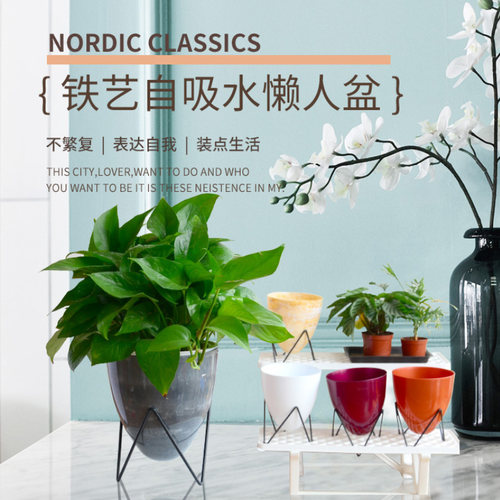 铁架自动吸水绿萝储水花盆北欧风格家庭摆件懒人水养绿植塑料花盆