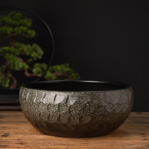 青苔微型盆景可开孔花卉蕨根植物仙人掌盆园艺荷花缸金鱼缸水培盆