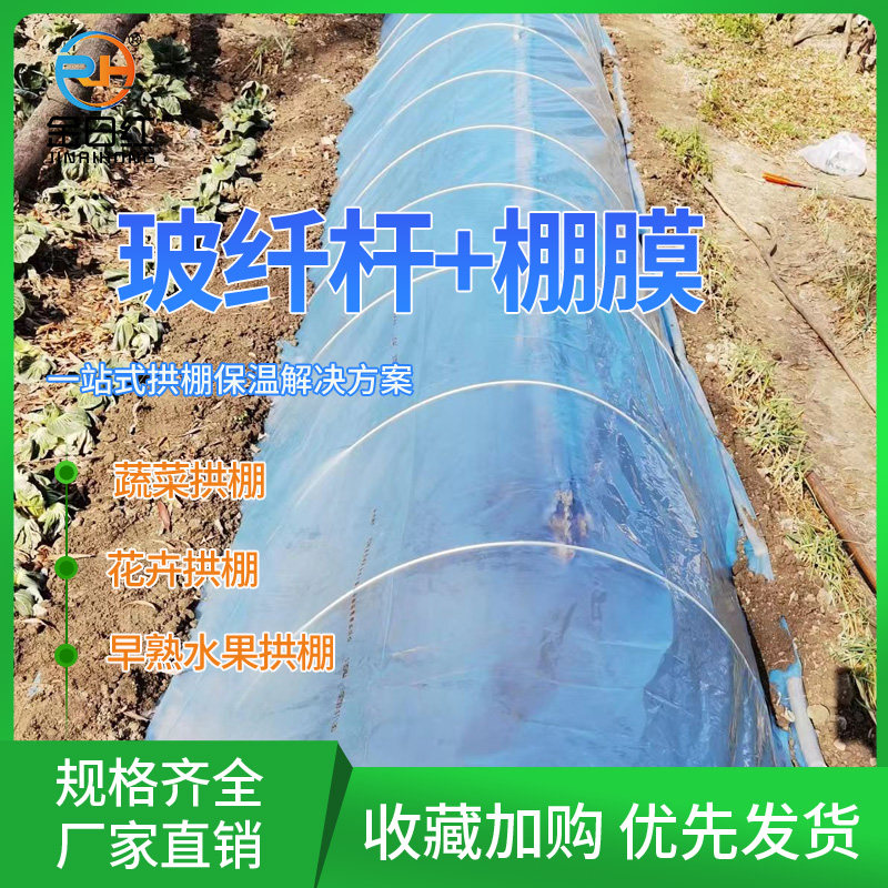 花棚菜棚蔬菜大棚专用塑料膜大小拱棚支架玻纤杆塑料布支撑杆架子