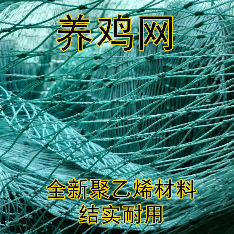 尼龙网养b鸡网栏鸡网围网养殖网菜园围网山鸡网防鸡网拦鸡网围栏