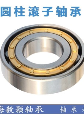 圆柱滚子轴承NJ336 338 340 344 348 352 356 360EM