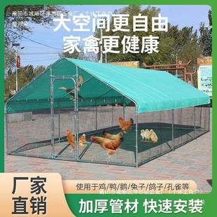 厂家直销家户外大型鸡棚禽鸡笼窝鸡OAK孔舍雀防雨鸡搭建钢管家用
