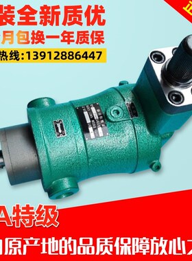 启东高压油泵10 25 40 63 80 160YCY 250YCY14-1B轴向柱塞泵液压